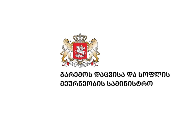 საქართველოს მთავრობამ განიხილა და მოიწონა „2026 წლის რთვლის ორგანიზებულად ჩატარებისათვის განსახორციელებელი ღონისძიებების შესახებ“ განკარგულების პროექტი