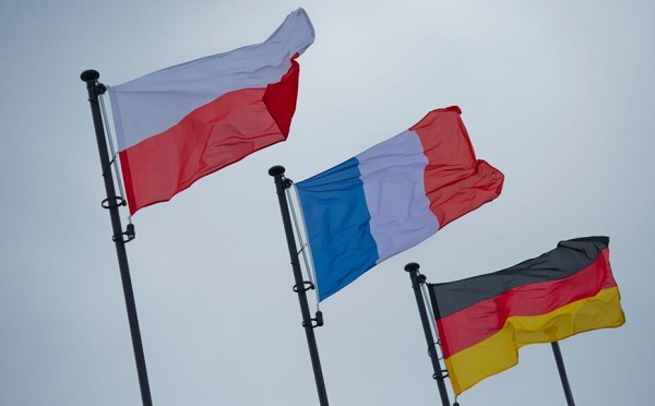 ახალი რეგულაციებით, საქართველოს ხელისუფლება შეგნებულად არღვევს ევროკავშირის წინაშე აღებულ ვალდებულებებს, განსაკუთრებით, ასოცირების შეთანხმების ფარგლებში - ვაიმარის სამკუთხედი