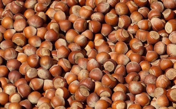 თებერვალში საქართველოდან ექსპორტირებულია 19.3 მლნ აშშ დოლარის ღირებულების თხილი