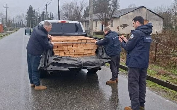 სამეგრელოში ხე-ტყის უკანონო ტრანსპორტირების ფაქტები გამოვლინდა