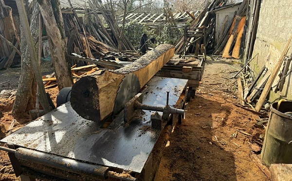  სამეგრელოში 3 უკანონო სახერხი საამქრო გამოვლინდა