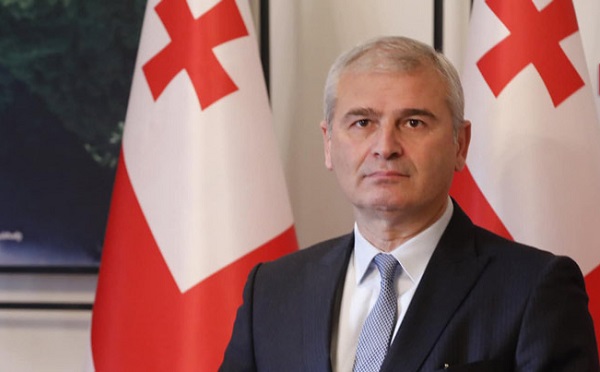 ამ დღეებმა გვანახა ის ძირითადი ჩარჩო, სადაც უნდა მიმდინარეობდეს საქართველოს აწმყოსა და მომავალზე ფიქრი, ჩანდა, რა უნდა ქართველ ერს, საქართველოს ევროპა უნდა იმის ფასად, რა ფასეულობაზეც ევროპა შეიქმნა - ირაკლი ქადაგიშვილი 