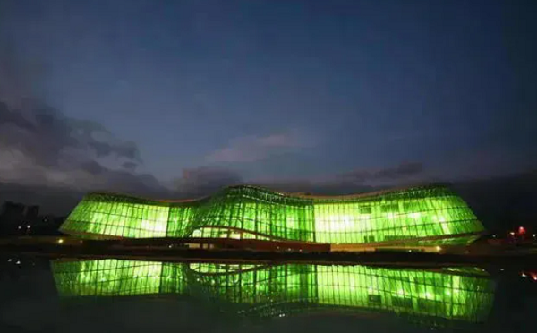 სამართალდამცველებმა განსაკუთრებით დიდი ოდენობით ფსიქოტროპული ნივთიერების საქართველოში უკანონოდ შემოტანის ფაქტი აღკვეთეს - დაკავებულია თურქეთის მოქალაქე