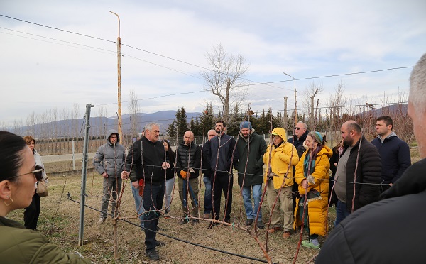ჯიღაურაში ხეხილის ინტენსიური ბაღების მოვლის თანამედროვე მეთოდებზე სამეცნიერო-პრაქტიკული სემინარი გაიმართა