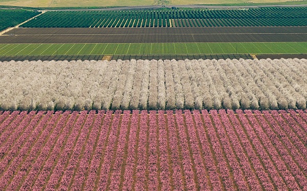 მიწის რესურსების მონაცემთა ბაზა სახელმწიფოსა და ბიზნესს რისკების შემცირებაში დაეხმარება