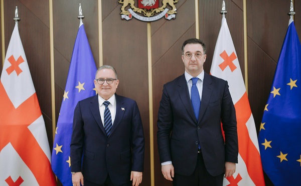 დავით სონღულაშვილი საქართველოში დომინიკის რესპუბლიკის ელჩს შეხვდა