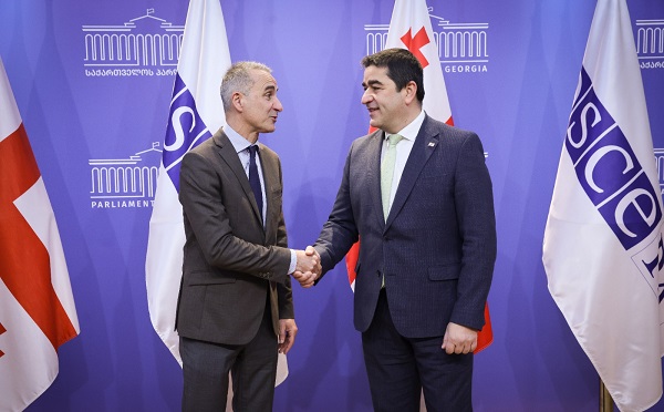 შალვა პაპუაშვილი ეუთო-ს საპარლამენტო ასამბლეის პრეზიდენტს შეხვდა