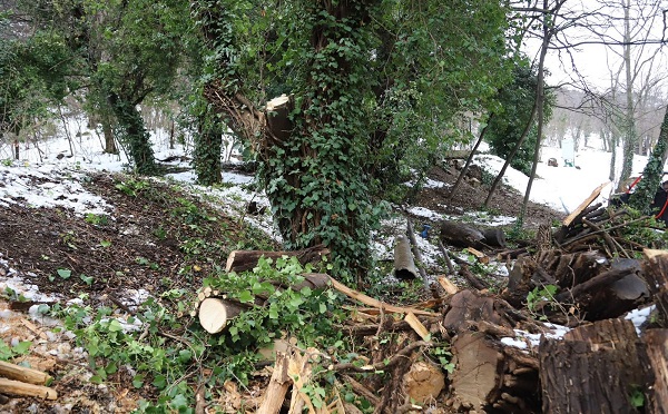 ეროვნული ბოტანიკური ბაღი ვიზიტორებისთვის დროებით დაიკეტა