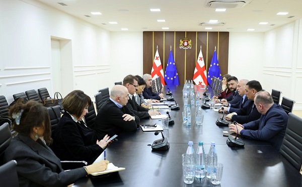 სოლომონ პავლიაშვილი აზიის განვითარების ბანკის წარმომადგენლებს შეხვდა