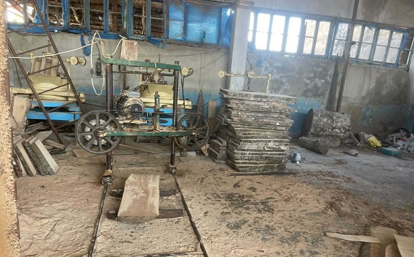 იმერეთში უკანონო სახერხი საამქროები გამოვლინდა