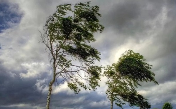საქართველოში 8-9 აპრილს მოსალოდნელია ნალექი, ქარის გაძლიერება, ზღვაზე 3-4-ბალიანი შტორმი