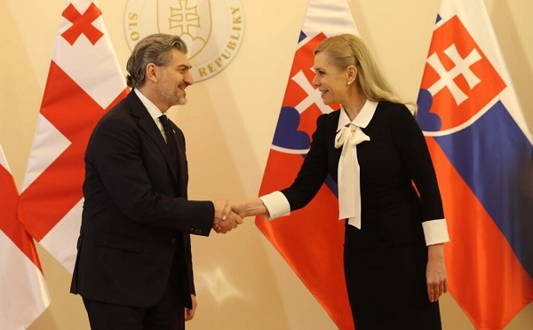 მიხეილ ყაველაშვილი სლოვაკეთის ვიცე-პრემიერს, დენისა საკოვას შეხვდა