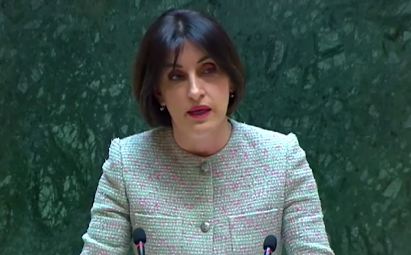 ტყუილია, თითქოს „ქართულმა ოცნებამ“ ცალმხრივი გადაწყვეტილებით ევროინტეგრაციის პროცესი 2028 წლამდე შეაჩერა, პოლიტიკური დიალოგი საქართველოსთან 2024 წელს ბრიუსელის გადაწყვეტილებით შეჩერდა - მაკა ბოჭორიშვილი 