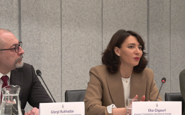 ჩვენი ევროპული არჩევანი თავდასხმის ქვეშაა პრორუსული „ოცნების“ და ივანიშვილის მხრიდან, თქვენი მხარდაჭერა განსაზღვრავს, მიგვიყვანს თუ არა ბრძოლა დემოკრატიულ მომავლამდე - ეკა გიგაური ნიდერლანდების პარლამენტში