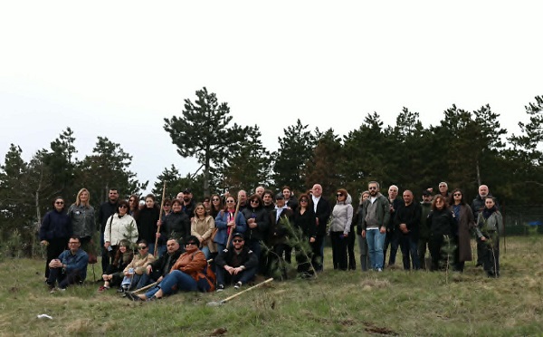 მინერალური რესურსების ეროვნული სააგენტოს თანამშრომლებმა ხეების დარგვის აქციაში მიიღეს მონაწილეობა