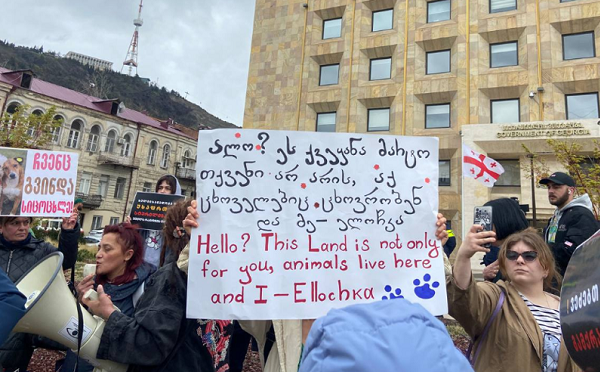 მთავრობის ადმინისტრაციასთან ცხოველების უფლებების დამცველები აქციას მართავენ