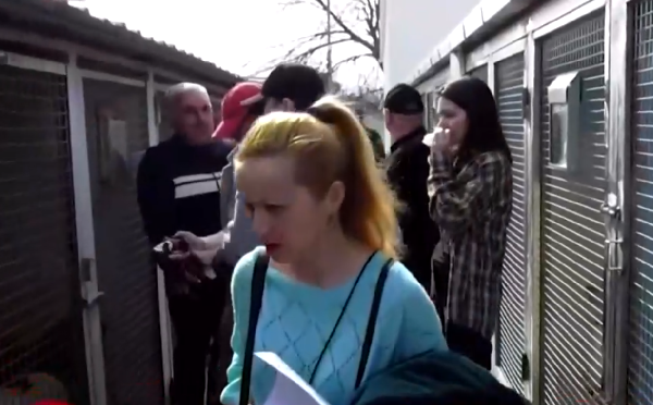 თბილისში, მიუსაფარ ძაღლთა თავშესაფართან ხმაური იყო