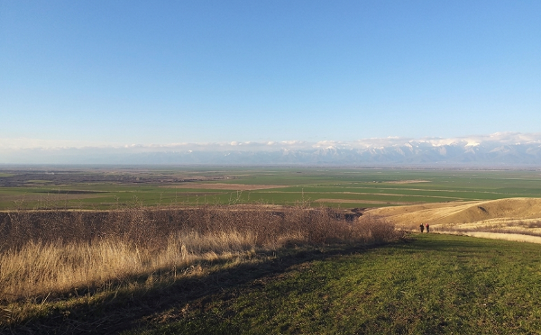 მიწათსარგებლობის მონიტორინგით 11 ჰექტარზე მეტი მოხნული საძოვარი გამოვლინდა