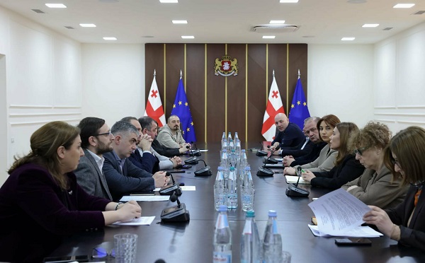 ნინო თანდილაშვილმა ბიზნესსექტორის წარმომადგენლებთან ერთად მყარი სასარგებლო წიაღისეულის გადამუშავების რეგულირების სამუშაო ვერსია განიხილა