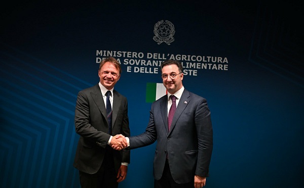 დავით სონღულაშვილი ვერონაში იტალიელ კოლეგას შეხვდა