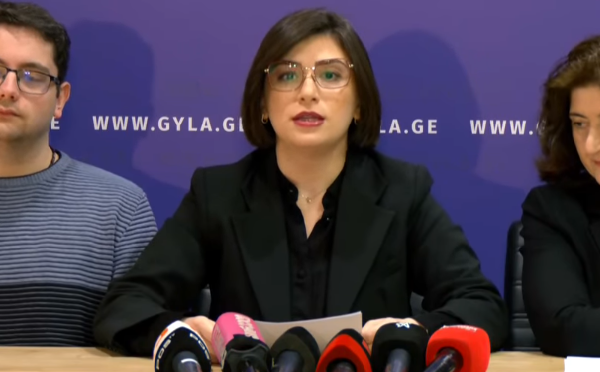 სტრასბურგის სასამართლომ „უცხოეთის აგენტების რეგისტრაციის აქტზე“ ქართული სამოქალაქო საზოგადოებისა და მედია ორგანიზაციების სარჩელის არსებითი განხილვა დაიწყო - საია