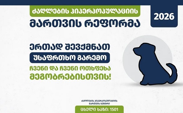 ქუთაისის თავშესაფარში დარჩენილ 17 ძაღლს ზუგდიდში დღეს დააბრუნებენ, ძაღლები პირვანდელ გარემოს დაუბრუნდებიან აბაშაშიც და ვანშიც - სურსათის ეროვნული სააგენტო