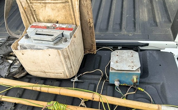 სამეგრელოში ბრაკონიერობის ფაქტები გამოვლინდა