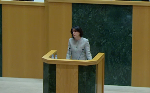 ნებისმიერი პროცესის შეფასებისას გამორჩეული სიფრთხილე გვმართებს, ვიდრე საქართველო ევროკავშირის სრულფასოვანი წევრი არ გახდება, მის საგარეო პოლიტიკასთან სრული თანხვედრა გაჭირდება - მაკა ბოჭორიშვილი