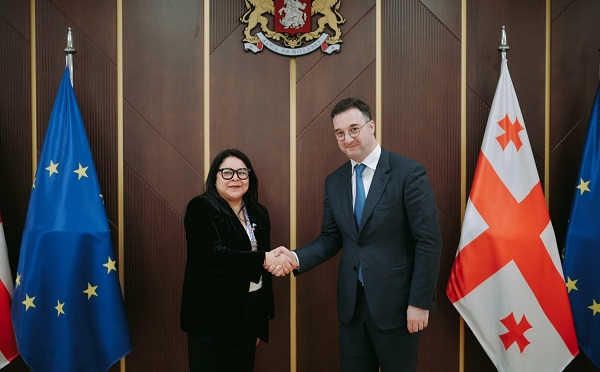 დავით სონღულაშვილი გვატემალის რესპუბლიკის დელეგაციის წევრებს შეხვდა