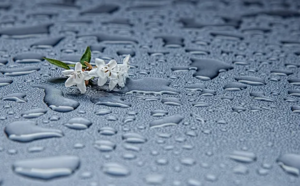 საქართველოში 25-27 აპრილს კვლავ ნალექიანი ამინდი იქნება