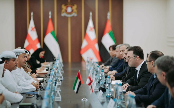 დავით სონღულაშვილმა არაბთა გაერთიანებული საამიროების სახელმწიფო დელეგაციას უმასპინძლა