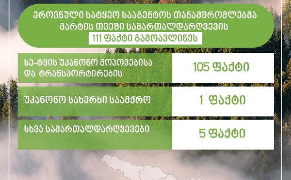 ეროვნული სატყეო სააგენტოს თანამშრომლებმა, მარტის თვეში სამართალდარღვევის 111 ფაქტი გამოავლინეს, საიდანაც 105 ფაქტი ხე-ტყის უკანონო მოპოვება და ტრანსპორტირებაა
