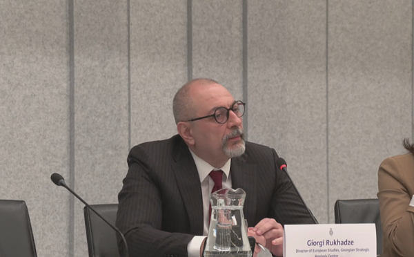 სამწუხაროდ, საქართველო მიტაცებული სახელმწიფოა, უფრო და უფრო უახლოვდება ავტორიტარული ერების კლუბს - გიორგი რუხაძე ნიდერლანდების პარლამენტში