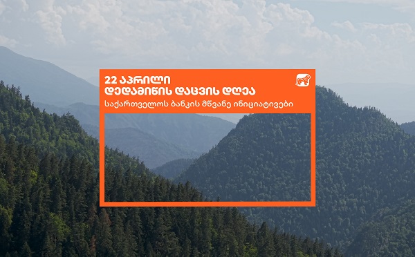 საქართველოს ბანკი დედამიწის დღეს მწვანე ინიციატივებს აჯამებს
