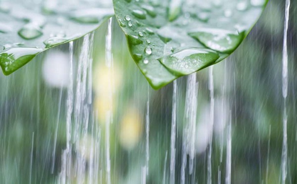 საქართველოში 23-24 აპრილს მოსალოდნელია დროგამოშვებით ნალექი, შესაძლებელია ელჭექი, ქარის გაძლიერება