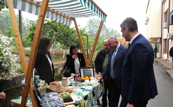 ჩაის საერთაშორისო დღესთან დაკავშირებით, სსიპ სოფლის მეურნეობის სამეცნიერო-კვლევითი ცენტრის ორგანიზებით, ანასეულის ბაზაზე თემატური ღონისძიება გაიმართა