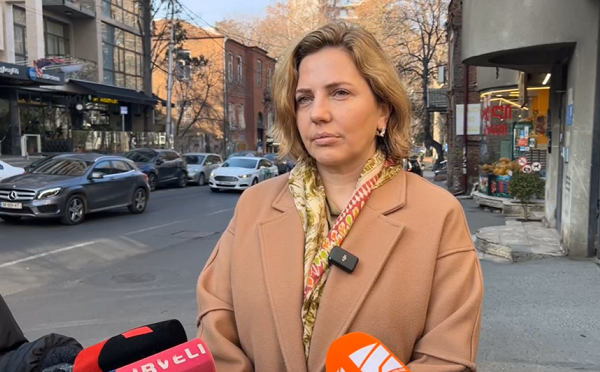ჩემი მხრიდან დაყენებული მთავარი ამოცანა იყო სინდისის პატიმრების გათავისუფლება, ეს ხალხი უნდა იყოს გარეთ - ანა დოლიძე აშშ-ის დელეგაციასთან შეხვედრაზე