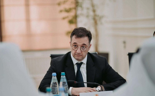 აქამდე პროგრამები იყო ფრაგმენტული, ახლა ხდება ამ პროგრამების გამთლიანება და  გაერთიანება - დავით სონღულაშვილი
