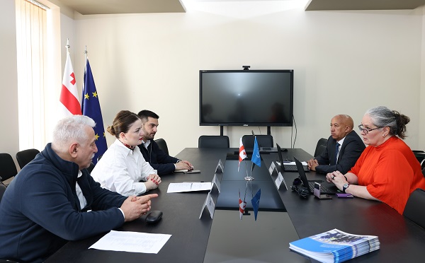 ბირთვული და რადიაციული უსაფრთხოების სააგენტომ, ატომური ენერგიის საერთაშორისო სააგენტოს (IAEA) წარმომადგენლებთან სამუშაო შეხვედრა გამართა