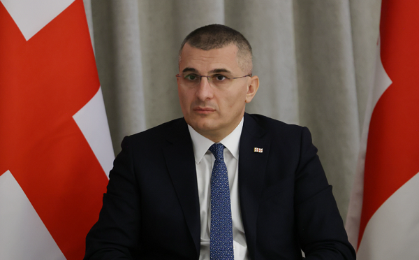 არ დავუშვებთ, რომ აზრის გამოხატვა და შეურაცხყოფა თანაბარ მოვლენებად იყოს მიჩნეული - მამუკა მდინარაძე