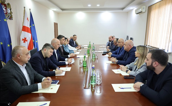 გურიის რეგიონში სამელიორაციო ინფრასტრუქტურის განვითარების საკითხები განიხილეს