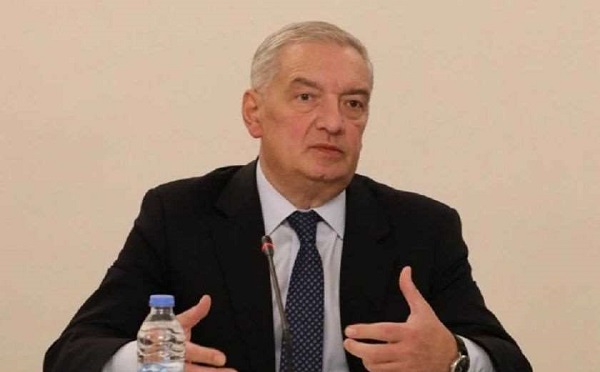 ჩვენ ბევრ ევროპულ ქვეყანაზე წინ ვართ პროევროპულობის თვალსაზრისით - გია ვოლსკი
