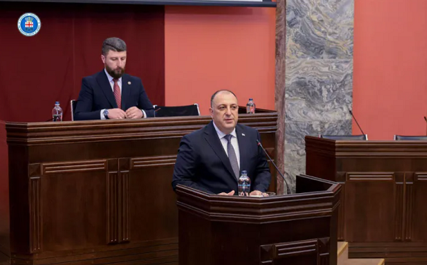 კორუფცია ყოველთვის იყო, არის და იქნება, ჩვენ ამას ვერ ამოვწურავთ - გიორგი გვარაკიძე