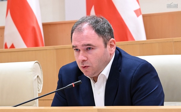 ჩვენ გავაგრძელებთ ევროკავშირის წევრ ქვეყნებთან ურთიერთობას და მოვიმხრობთ უფრო და უფრო მეტ წევრ ქვეყანას, რათა მათ ევროკომისიას მოსთხოვონ პოლიტიკური დიალოგის აღდგენა - ნიკოლოზ სამხარაძე