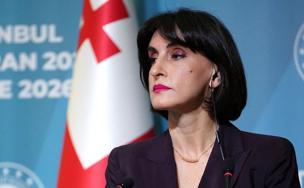 ევროპელი პოლიტიკოსები, ერთი მხრივ, ქართულ საზოგადოებაში პოლარიზაციასთან დაკავშირებით გამოხატავენ წუხილს, მეორე მხრივ, კი ყველაფერს აკეთებენ იმისათვის, რომ ჩვენი საზოგადოება კიდევ უფრო დაყონ - მაკა ბოჭორიშვილი
