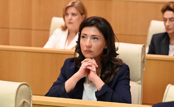 პარლამენტის წევრებზე წინასწარ დაგეგმილი თავდასხმა მოხდა, რაზეც გამოძიება მყისიერად უნდა დაწყებულიყო, ბოდიშებით ვერ შემოიფარგლებით, დანაშაულში მონაწილე ყველა პირი აგებს პასუხს - ტატა ხვედელიანი