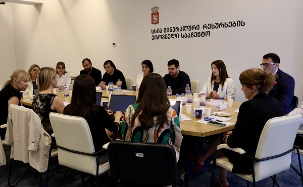 მინერალური რესურსების ეროვნული სააგენტოს უფროსი აბელ აბესაძე IGF-ის ექსპერტთა ჯგუფის წევრებს შეხვდა