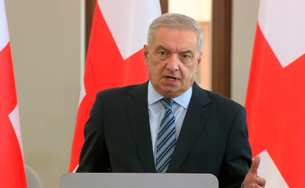 პეტერ ფიშერმა გერმანიისა და საქართველოს ურთიერთობებს სერიოზული ზიანი მიაყენა, ურთიერთობები გართულებულია, ამდენი ხანია, ჩვენი ელჩი წარდგენილია გერმანიაში და იქ სათანადო განხილვა არ აქვს ამ თემას - ვოლსკი