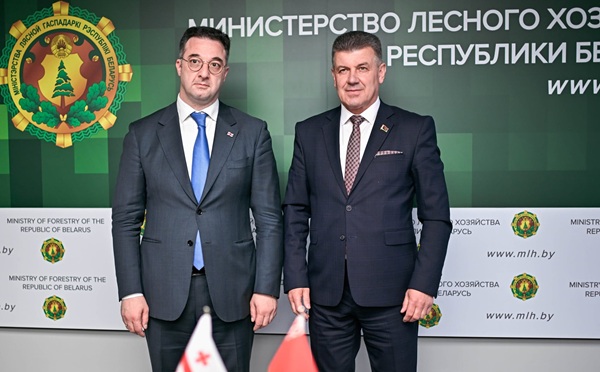 დავით სონღულაშვილი ბელარუსის სატყეო მეურნეობის მინისტრს, ალექსანდრ კულიკს შეხვდა