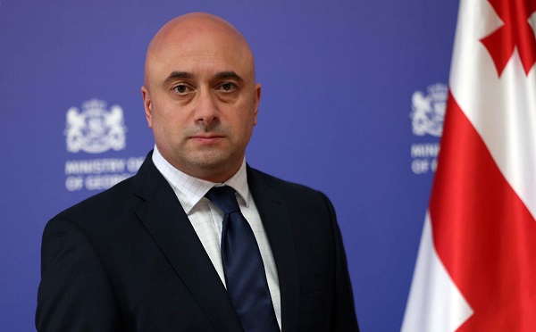 საქართველოს კულტურის მინისტრის მოვალეობას მიხეილ კიკნაძე შეასრულებს